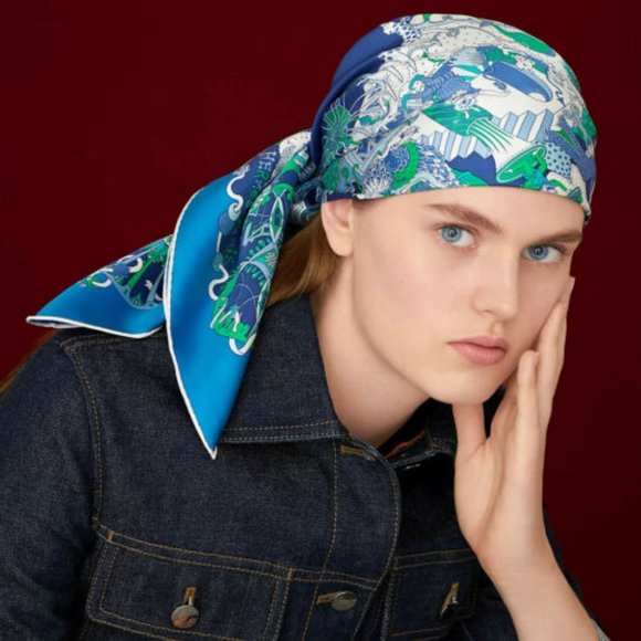 NWT Hermes La Folle Parade Silk Scarf - Picture 14 of 14